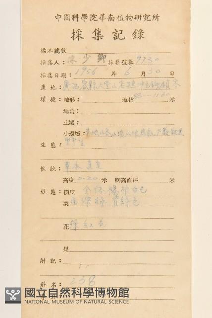 紅面番藏品圖，第2張