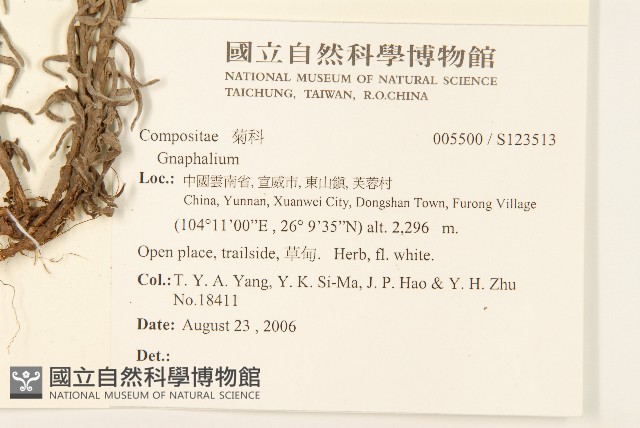 登錄號:S123513藏品圖，第2張