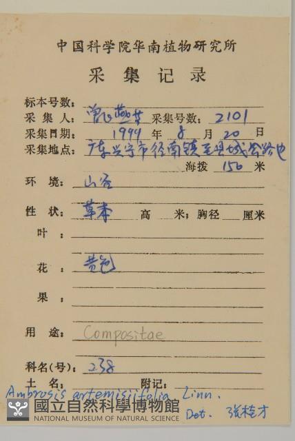 豬草、瘤果菊藏品圖，第2張