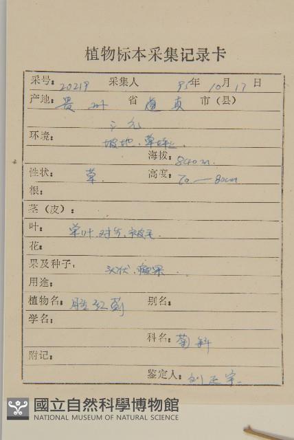 霍香薊藏品圖，第2張
