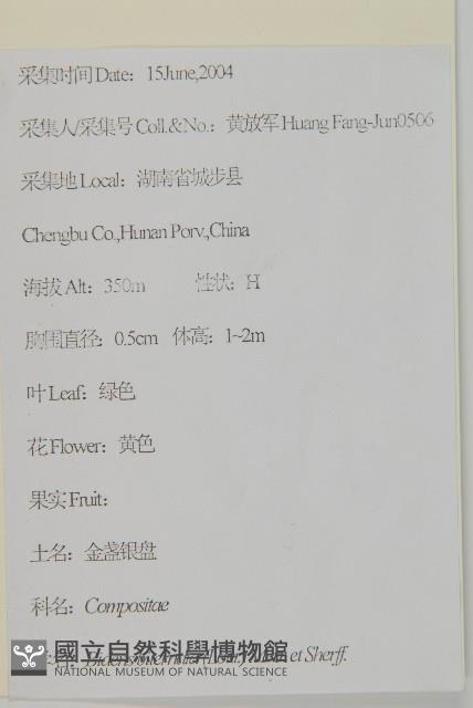 鬼針舅藏品圖，第2張