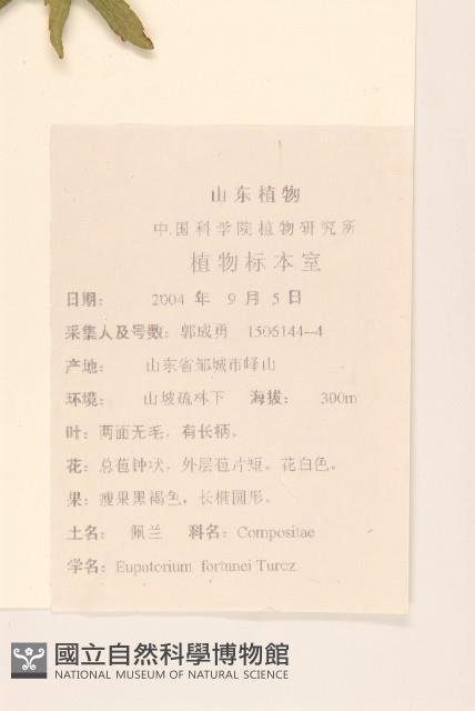 佩蘭藏品圖，第2張