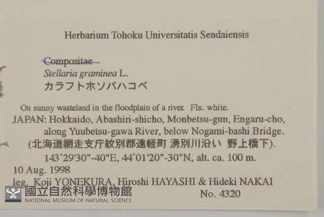 禾葉繁縷藏品圖，第2張