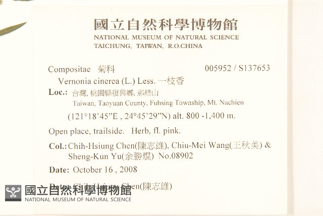 一枝香藏品圖，第2張