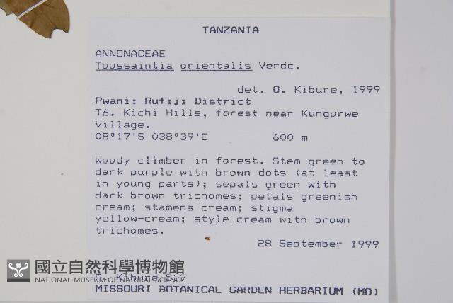 登錄號:S096053藏品圖，第2張