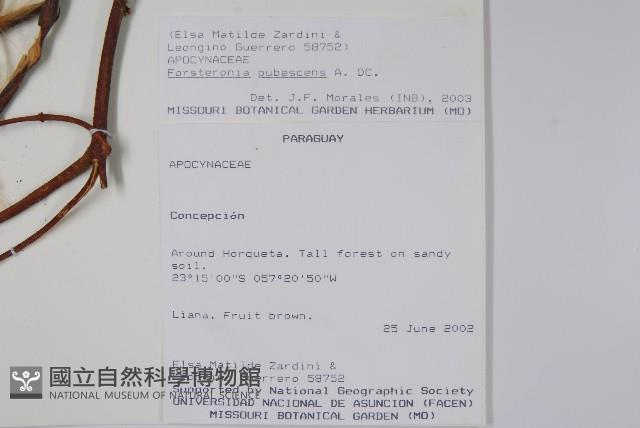 登錄號:S101053藏品圖，第2張