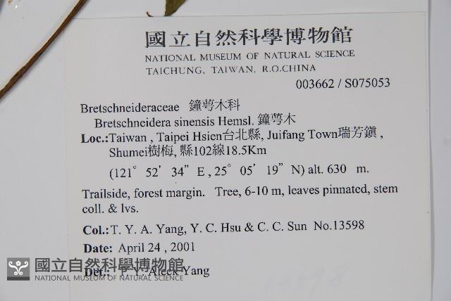 鐘萼木藏品圖，第2張