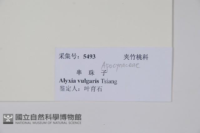 串珠子藏品圖，第2張