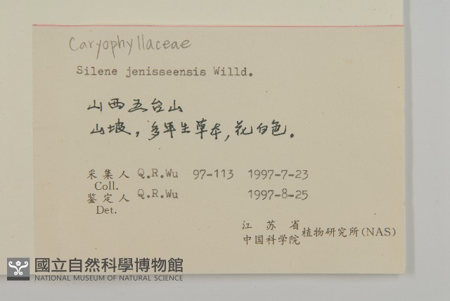 山螞蚱藏品圖，第2張