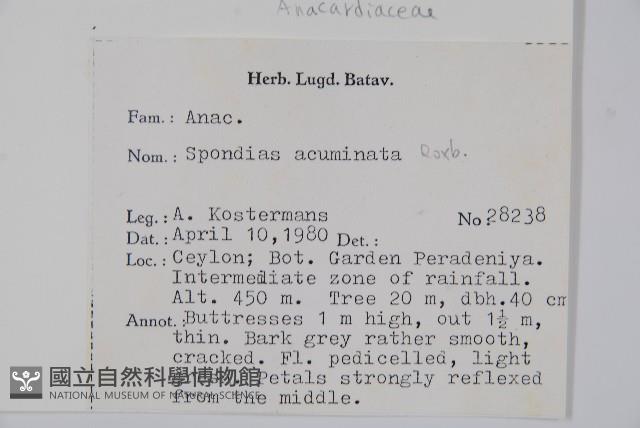 登錄號:S047053藏品圖，第2張