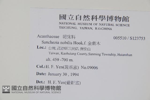 金葉木藏品圖，第2張