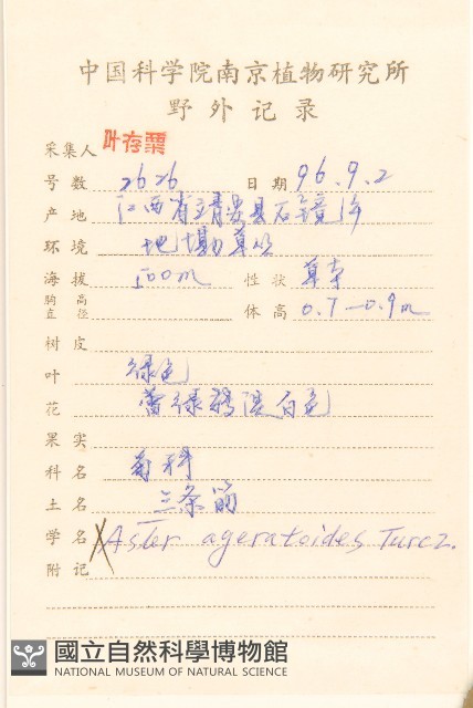 島田氏雞兒腸藏品圖，第2張