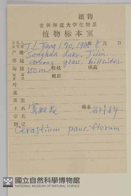 寄奴花藏品圖，第2張