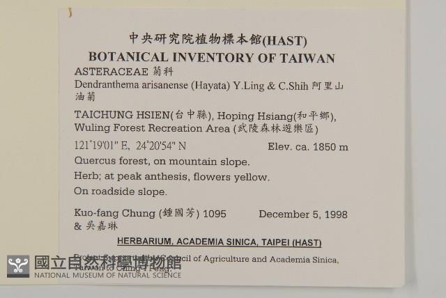 阿里山油菊藏品圖，第2張