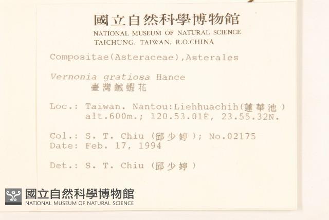 過山龍藏品圖，第2張