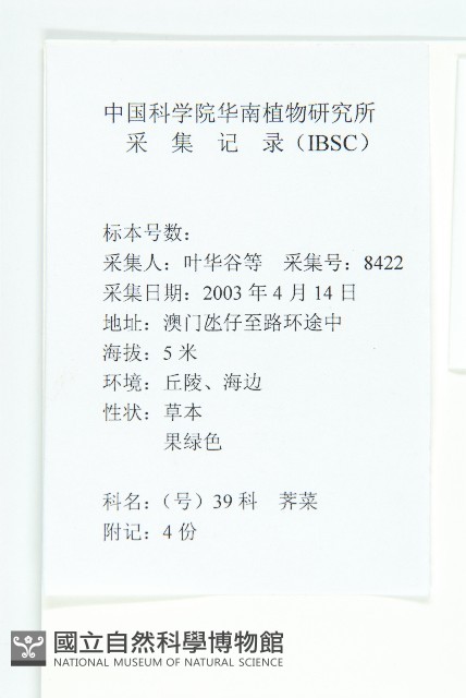 葶藶藏品圖，第2張