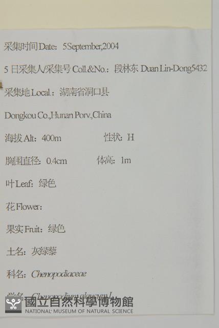 Accession Number:S111453 Collection Image, Figure 2, Total 2 Figures