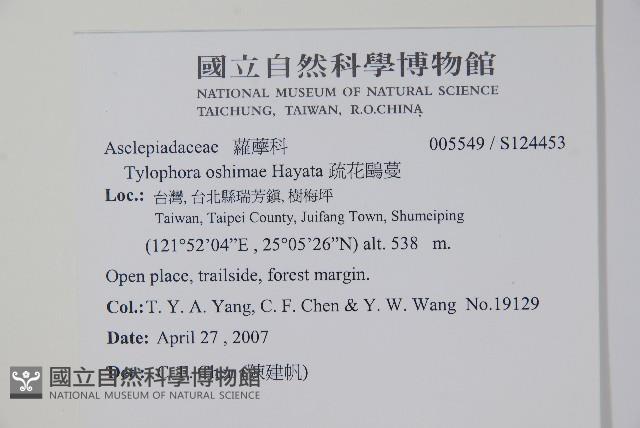 疏花鷗蔓藏品圖，第2張