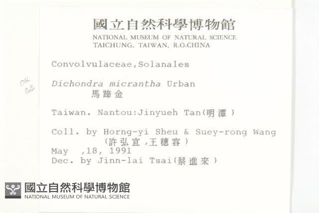 馬蹄金藏品圖，第2張