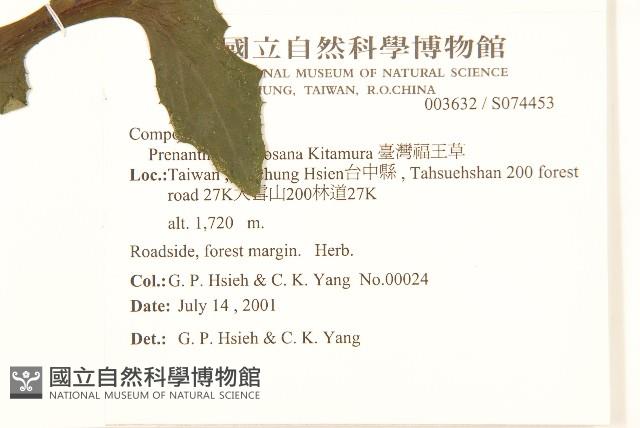 臺灣福王草藏品圖，第2張