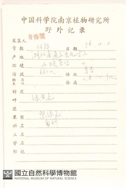 六角草藏品圖，第2張