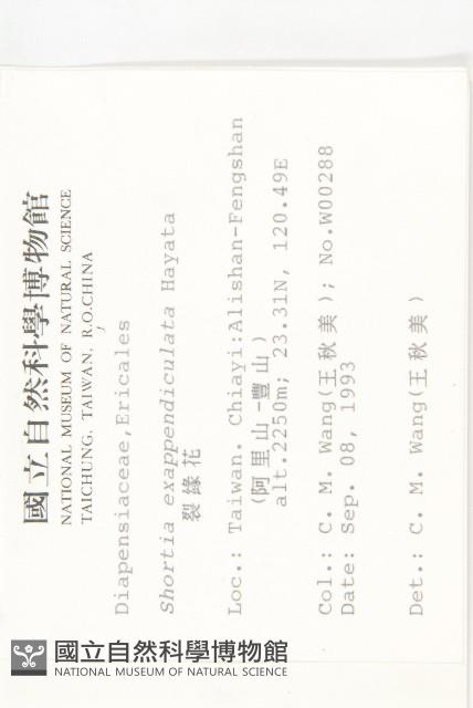 裂緣花藏品圖，第2張