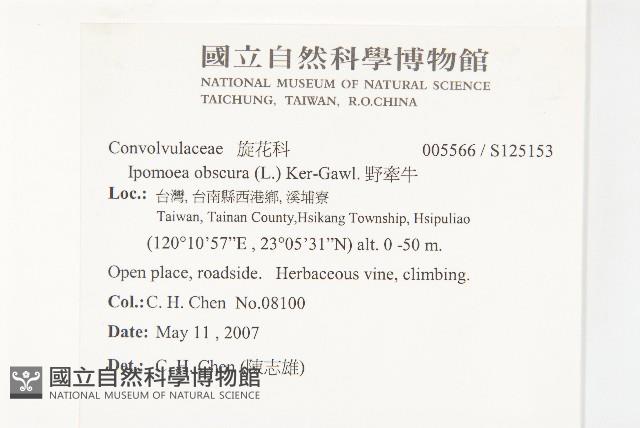 野牽牛藏品圖，第2張