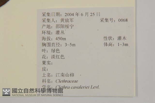 江南山柳藏品圖，第2張