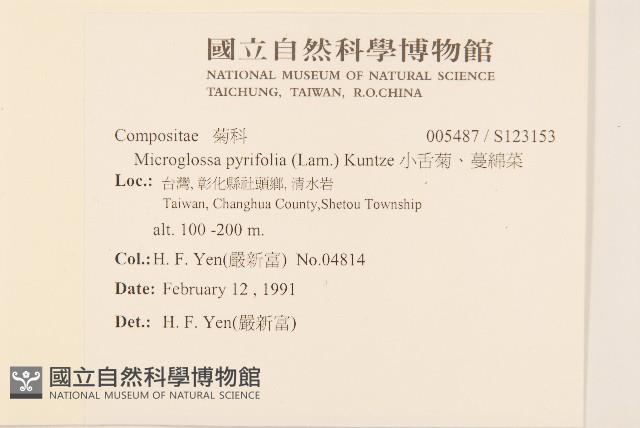 小舌菊、蔓綿菜藏品圖，第2張