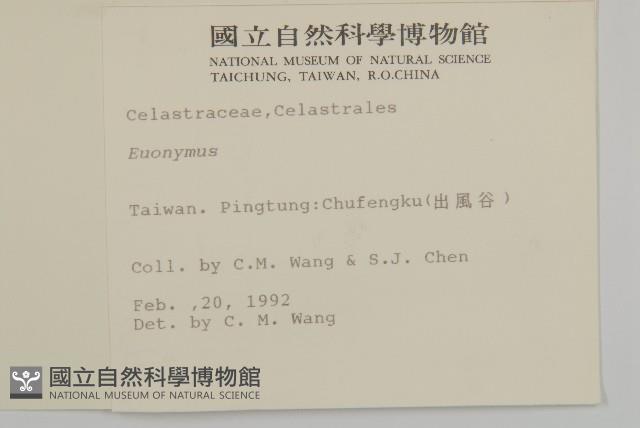 登錄號:S007153藏品圖，第2張