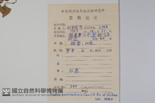 普剌特草藏品圖，第2張