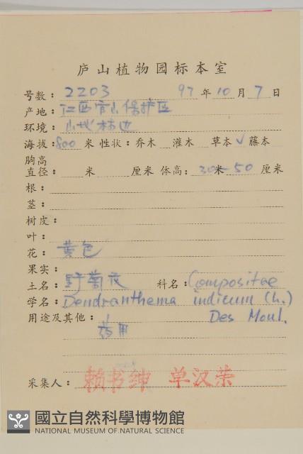 油菊、野菊藏品圖，第2張