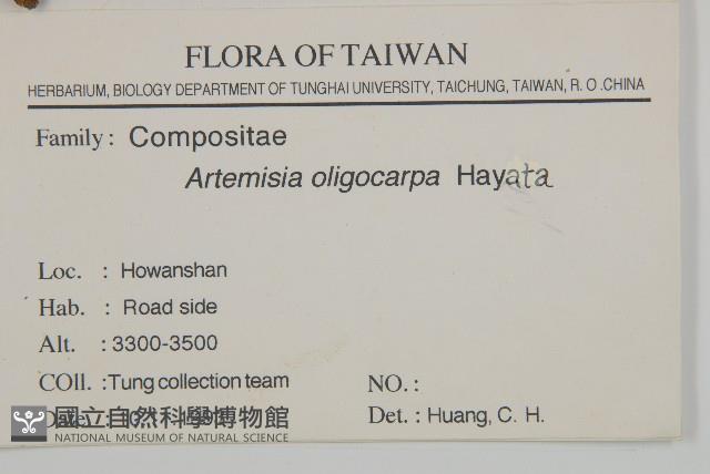 高山艾藏品圖，第2張