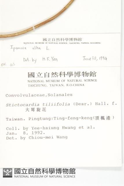 天茄兒藏品圖，第2張