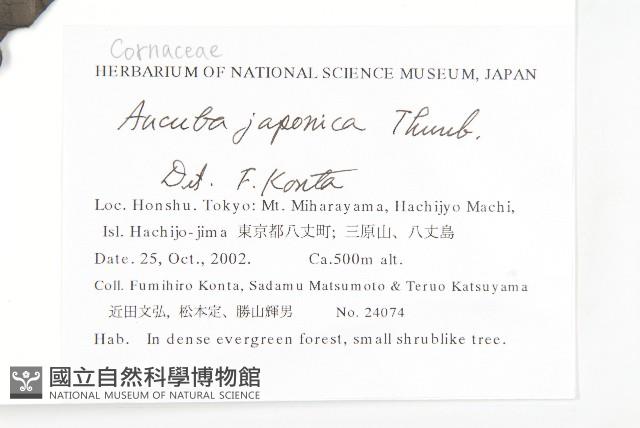 Accession Number:S144353 Collection Image, Figure 2, Total 2 Figures