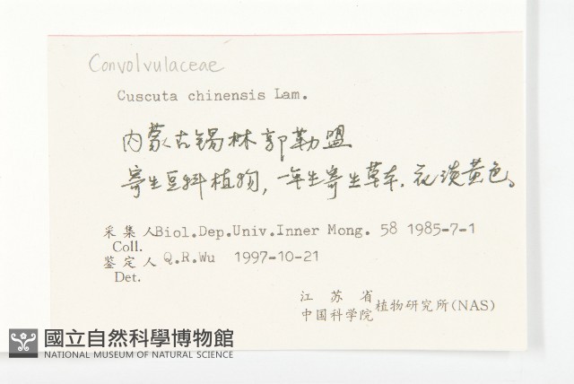 中國菟絲子藏品圖，第2張