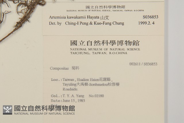 山艾藏品圖，第2張