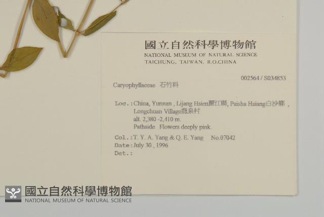 登錄號:S034853藏品圖，第2張