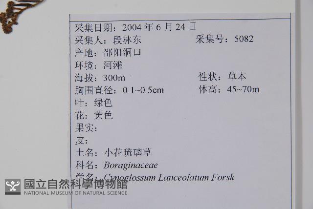 小花倒提壺藏品圖，第2張