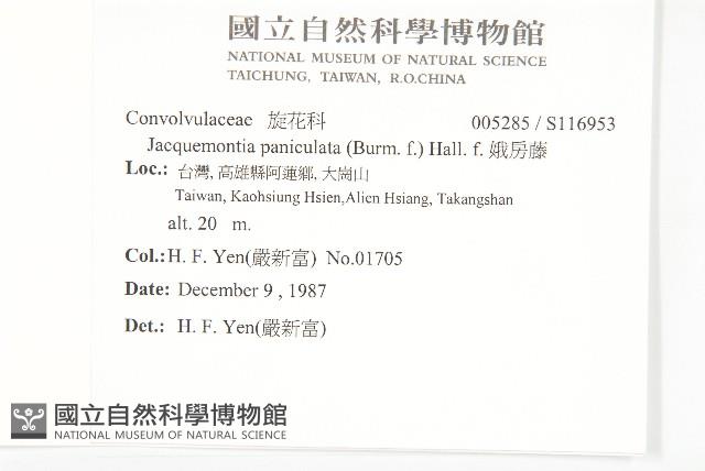 娥房藤藏品圖，第2張