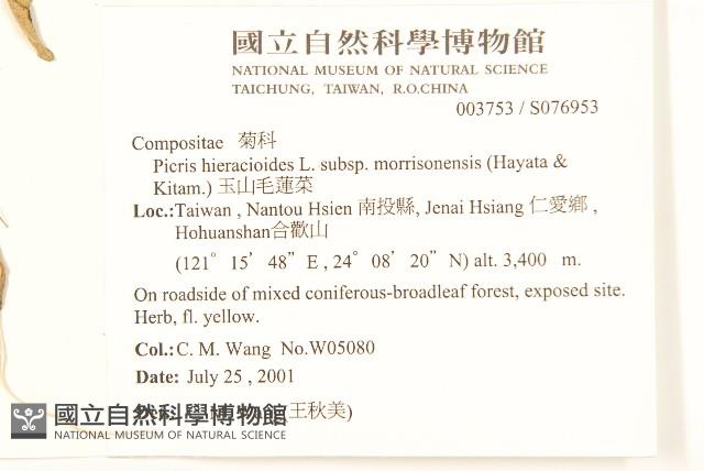 玉山毛蓮菜藏品圖，第2張