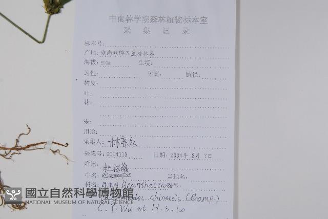 杜根藤藏品圖，第2張