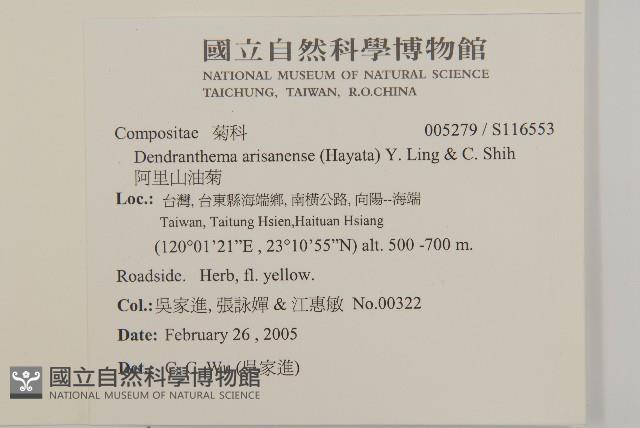 阿里山油菊藏品圖，第2張