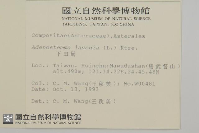 下田菊藏品圖，第2張