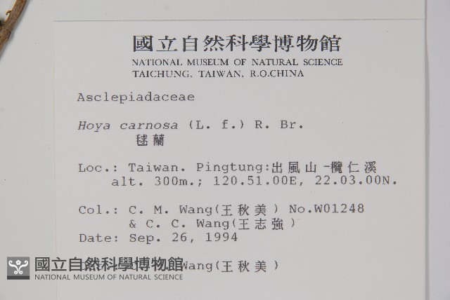 毬蘭藏品圖，第2張