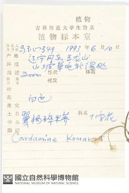 Accession Number:S027553 Collection Image, Figure 2, Total 3 Figures