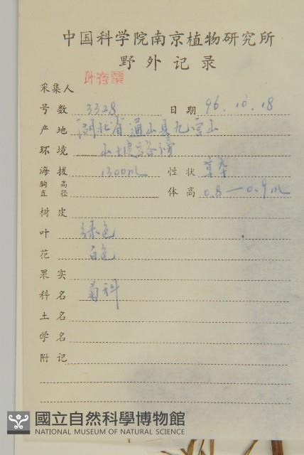 山白蘭藏品圖，第2張