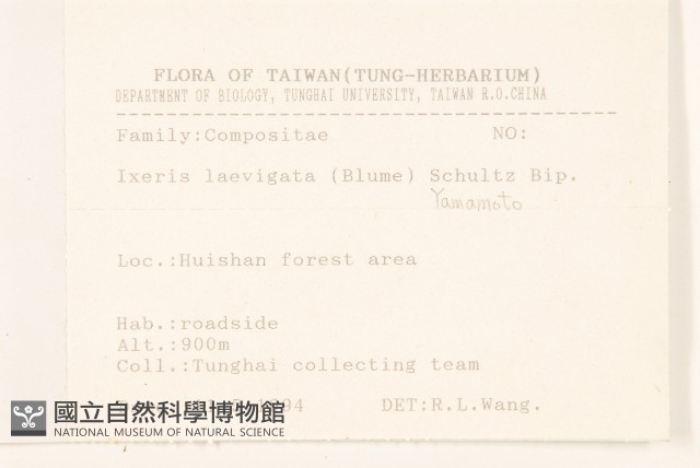平滑苦賈菜藏品圖，第2張