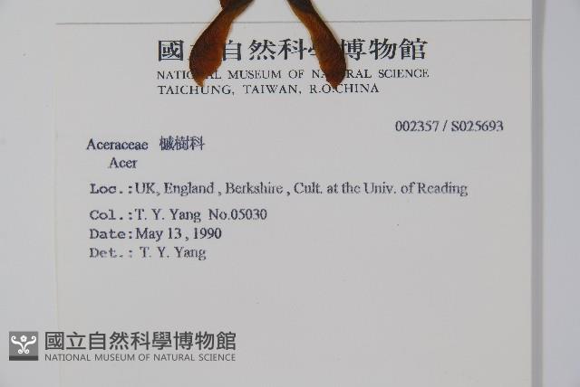 登錄號:S025693藏品圖，第2張