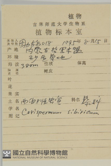 西伯利亞蟲實藏品圖，第2張